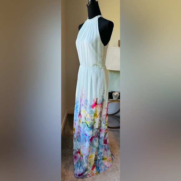 Ted Baker Maxi Dress - Picture 5 of 9